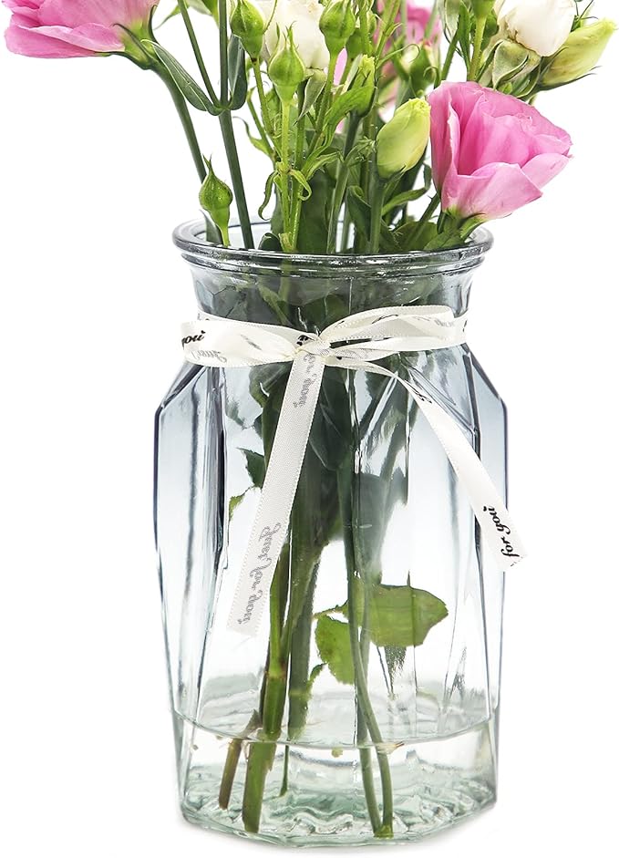 Bestntc Small Glass Flower Vases Decorative Red White Home